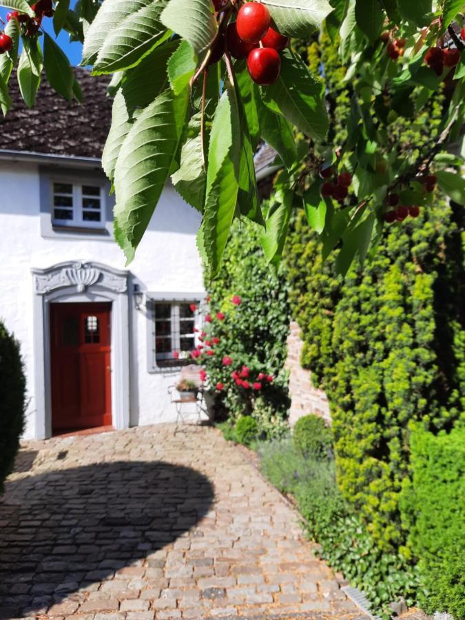 Отель Maternushof Pomster Экстерьер фото